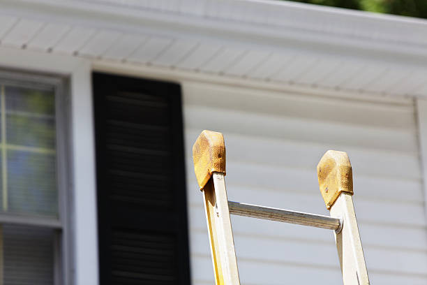 Best Storm Damage Siding Repair  in Brown City, MI
