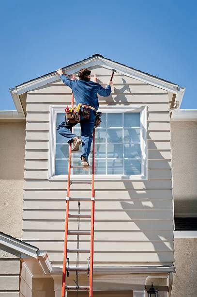 Best Storm Damage Siding Repair  in Brown City, MI
