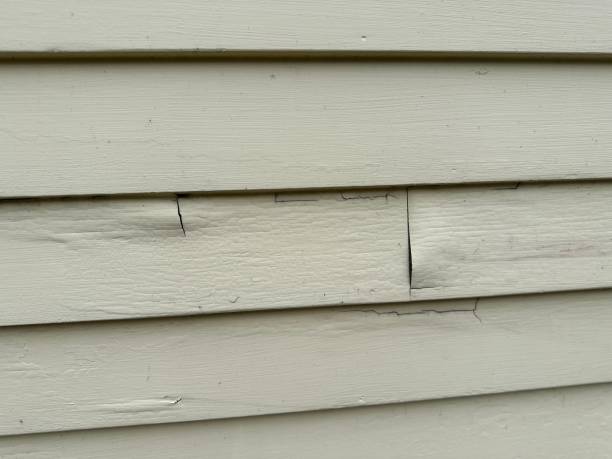 Affordable siding repair and maintenance services in Brown City, MI