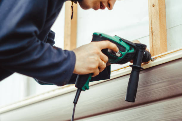 Best Insulated Siding Installation  in Brown City, MI